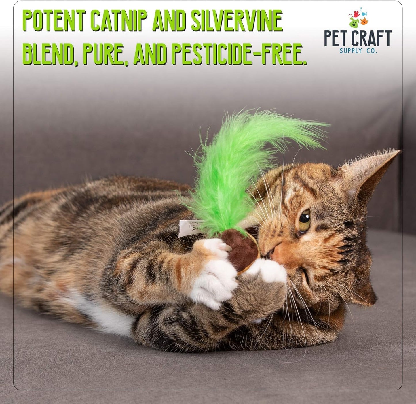 Silly Snacks and Funny Food Crinkle Cuddling Catnip and Silvervine Interactive Cat Toys - Great for Indoor Cats, Kittens or Medium Breeds