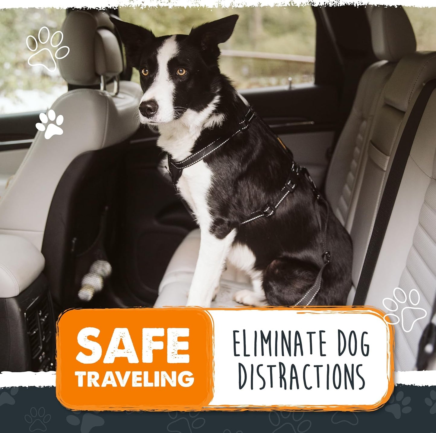 Dog Safety Seat Belt | Premium Pet Restraint Made with Durable Seatbelt Material and All-Metal Hardware, Adjustable Length, Exceeds Safety Standards for Secure Travel