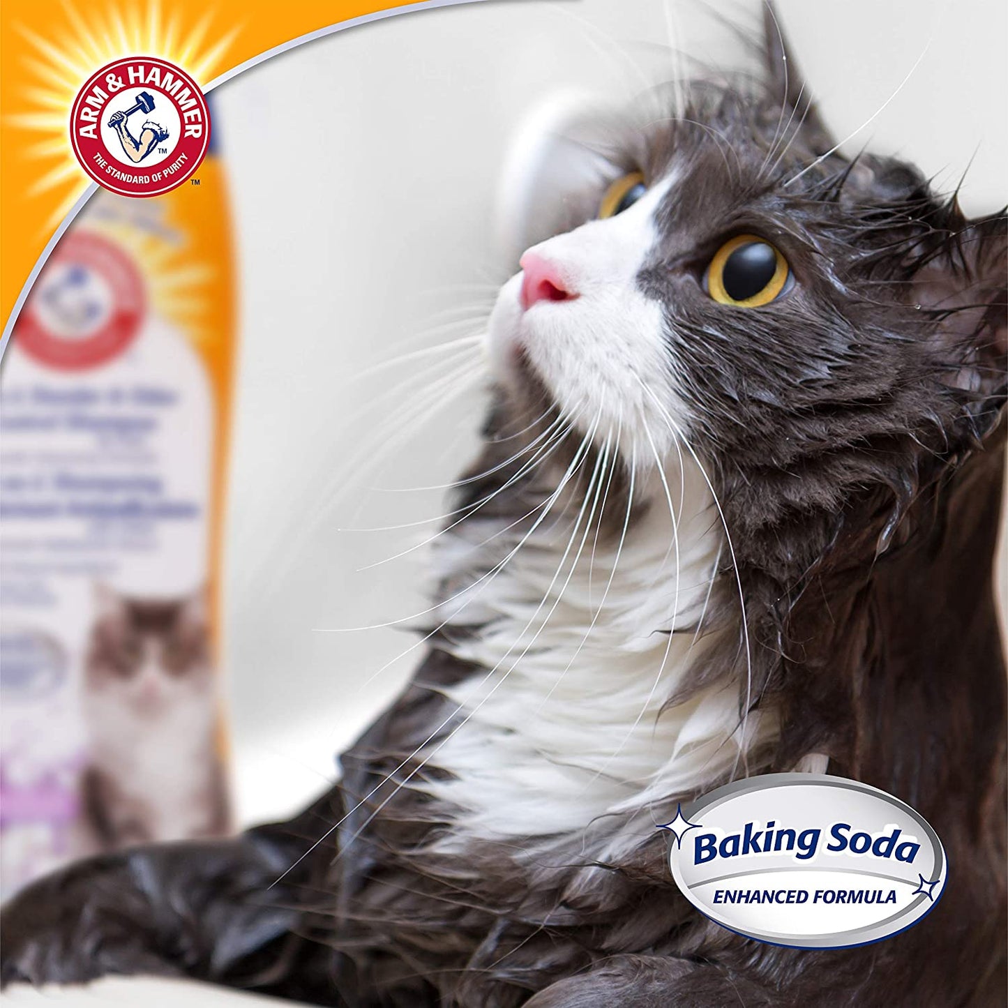 2-In-1 Deodorizing & Dander Reducing Shampoo for Cats, Baking Soda Cat Shampoo for Dander, Odor Control and Coat Cleaning, Lavender Chamomile Scent, 20 Fl Oz
