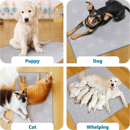 Reusable Waterproof Puppy Pad - Extra-Absorbent, Washable Potty Pad for Dog Training and Whelping - Protect Your Floors with Quick-Drying Design, 1 Pack - 65" x 48